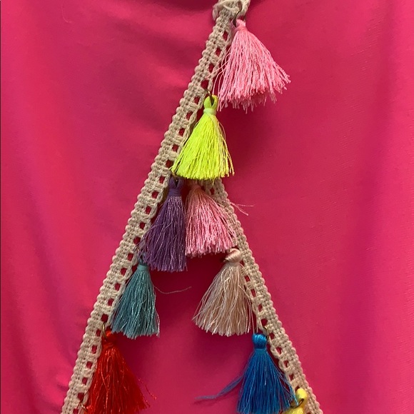 Hot Pink Dress With Colorful Tassels - Picture 3 of 6